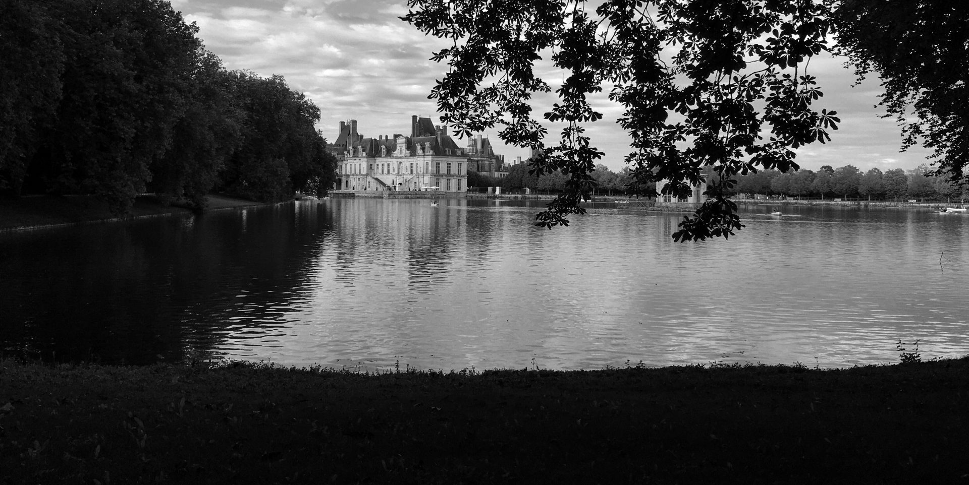 fontainebleau Fontainebleau, parc du château le matin, belle lumière.