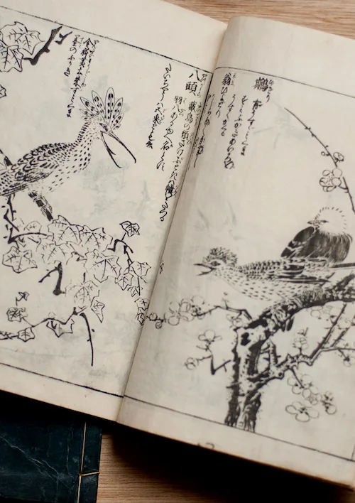 Cahier japonais ancien restauré ouvert sur une double page illustrée, gravure sur bois japonaise en noir et blanc représentant des oiseaux sur une branche d'arbre.