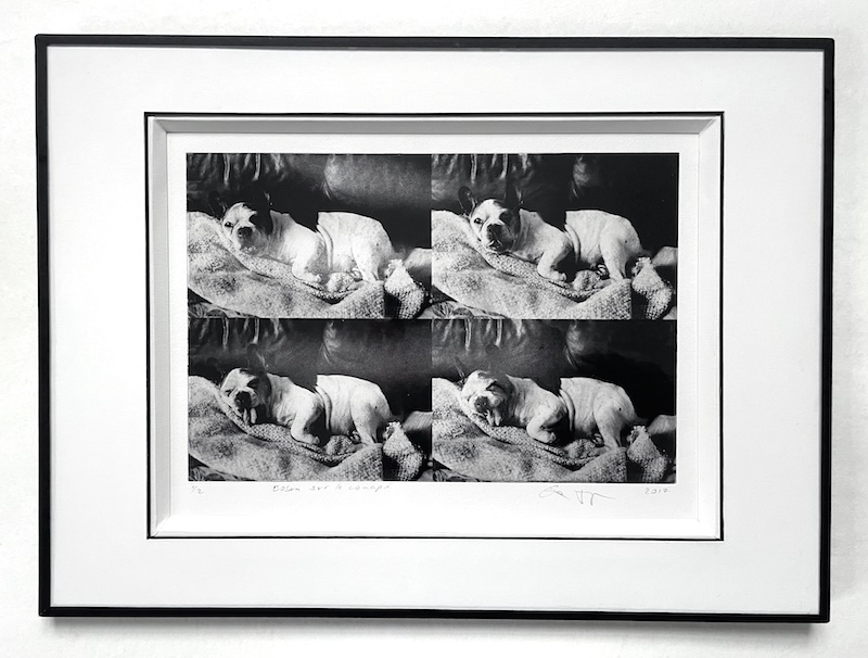 Photogravure contemporaine en noir et blanc représentant un bouledogue français, encadrée avec passe-partout profond et cadre noir