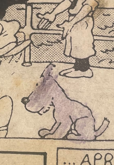 Page d’un album Tintin ancien en noir et blanc, avec Milou colorié au crayon mauve par un ancien lecteur.